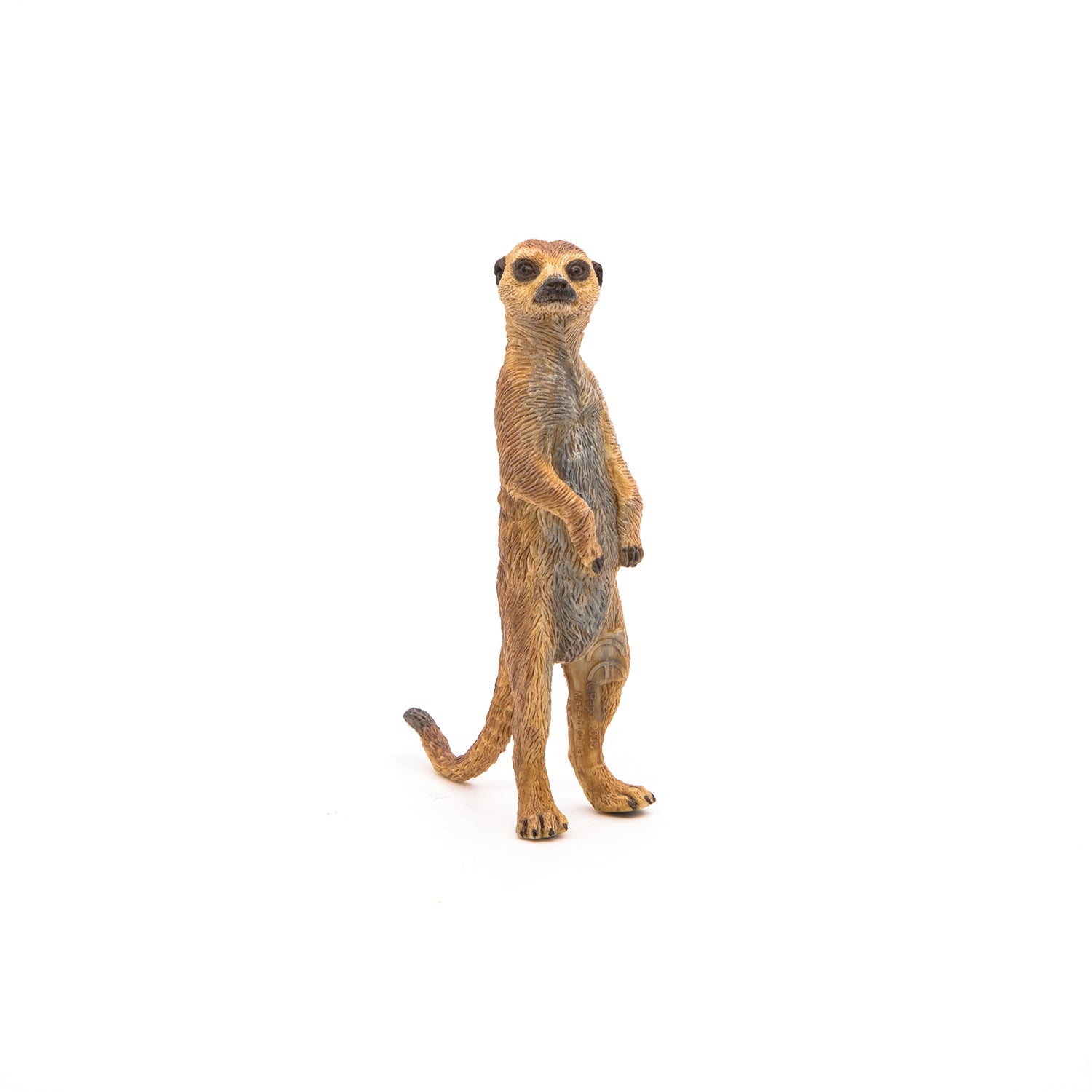 Meerkat Buttons & Pins - No Minimum Quantity