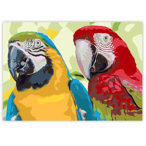 Paint By Numbers - Parrots