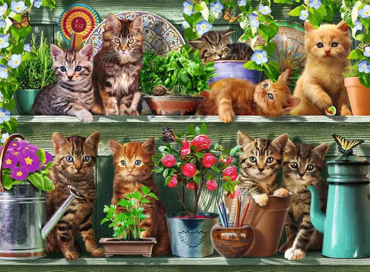 500 Piece Jigsaw Puzzle - Cats On The Shelf