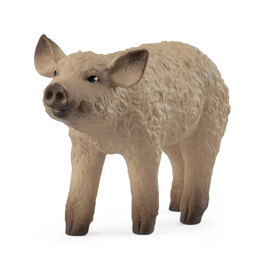 Schleich Farm World - Mangalica Piglet