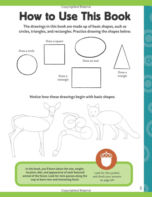 Learn To Draw: Forest Animals Book