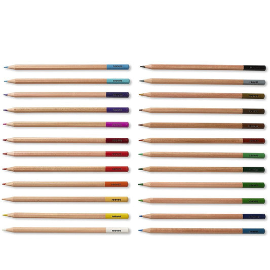 Reeves Coloured Pencils (24 Assorted)