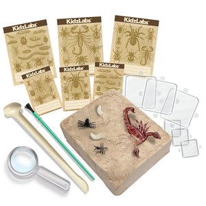 Kidz Labs -  Creepy Crawly Digging Kit