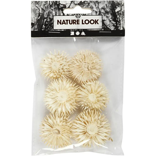 Dried Flower Heads (6 Pack)