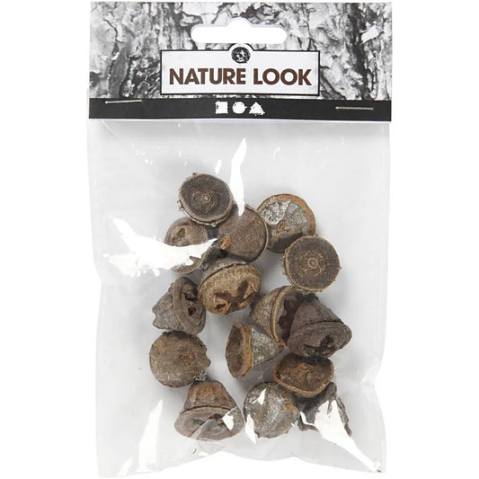 Eucalyptus Cones 25g