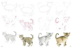 How to Draw: Kittens Book