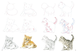 How to Draw: Kittens Book