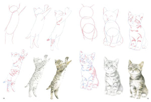 How to Draw: Kittens Book