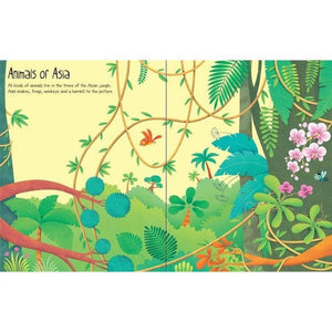 First Sticker Book Jungle