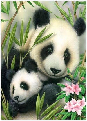 Paint By Numbers Junior Small - Panda & Baby