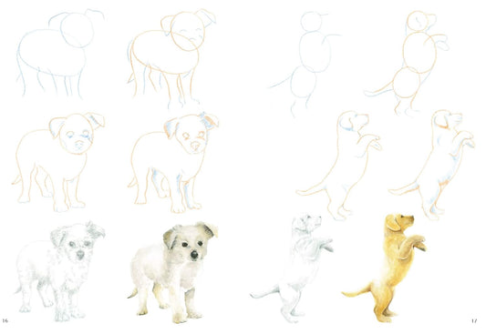 How to Draw: Puppies Book by Susie Hodge