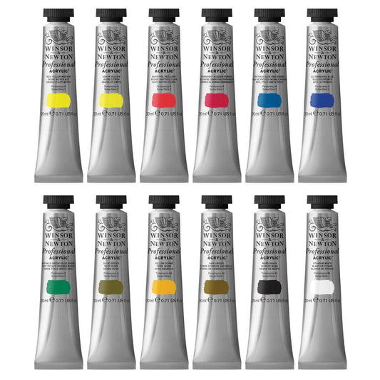 Winsor & Newton Tube Set 12 x 20ml - Professional Acrylic