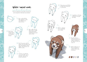 10 Step Drawing: Cute Animals Book