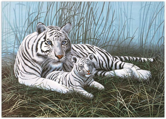 Painting By Numbers Junior Large - White Tigers in the Mist