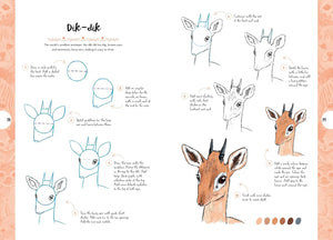 10 Step Drawing: Cute Animals Book