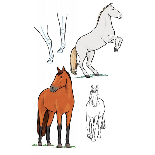 10 Step Drawing Horses and Ponies