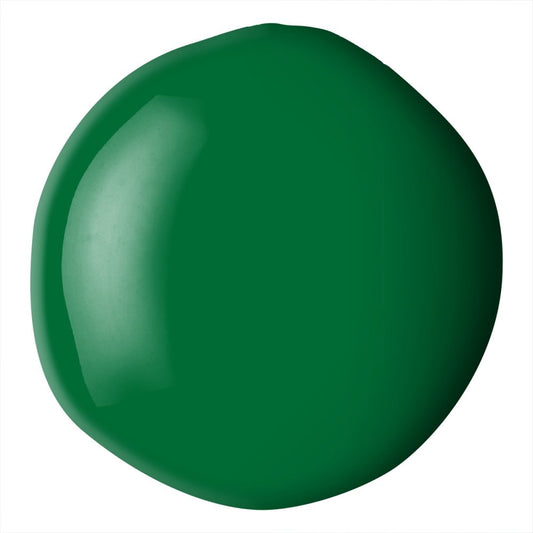 Liquitex Basics Acrylic Fluid Paint - Hookers Green Hue