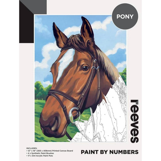 Paint by Number for Adults Beginner: Complete Pre-Framed DIY Kit on Canvas  - Ledg Paint By Numbers