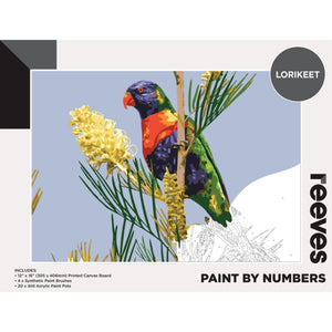 Reeves Paint by Numbers - Lorikeet