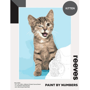 Reeves Paint by Numbers - Kitten