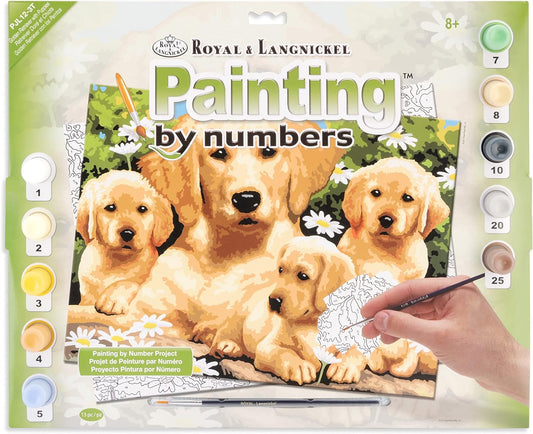 Paint By Numbers Junior Large - Golden Retrievers