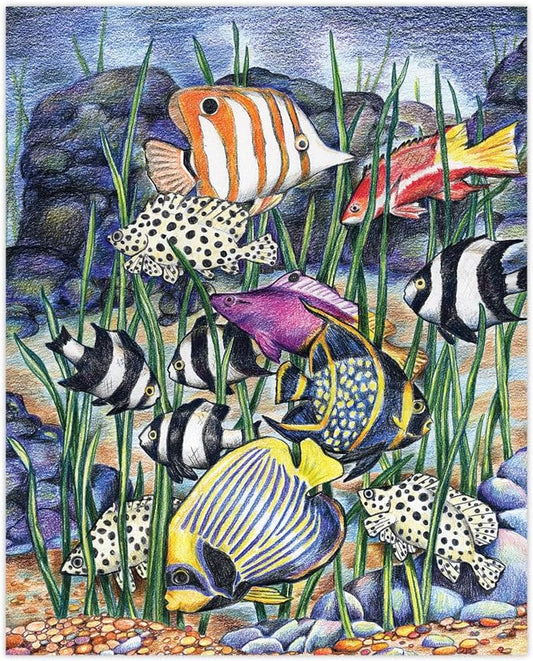 Colour Pencil by Numbers: Tropical Fish