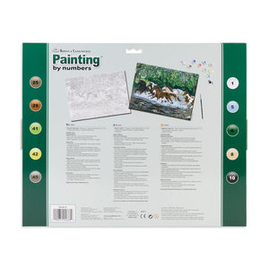 Paint By Numbers Adult Large - Free Spirits