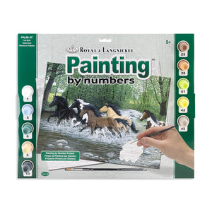 Paint By Numbers Adult Large - Free Spirits