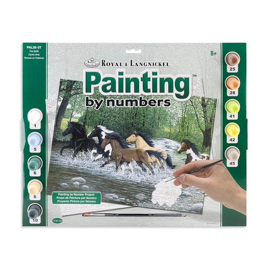 Paint By Numbers Adult Large - Free Spirits