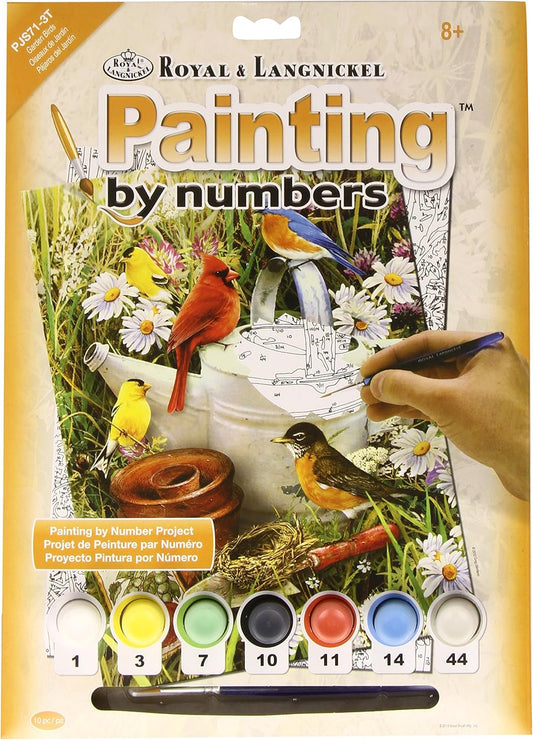 Paint By Numbers Junior Small Large - Garden Birds