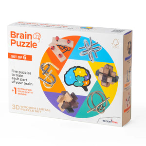 Brain Puzzles - Set of 6