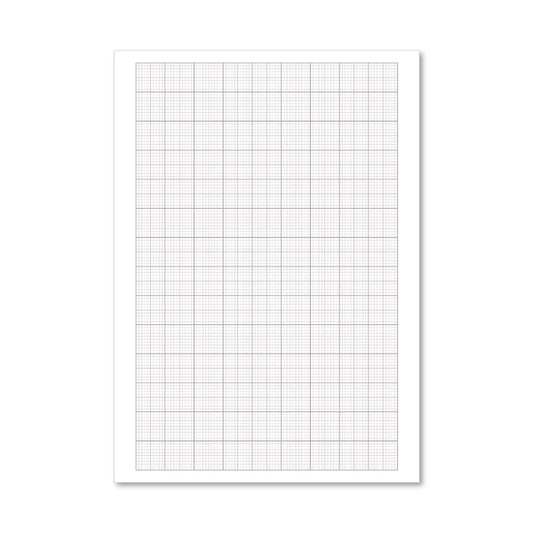 Loose Leaf Graph Paper A4 (500 Pack) 100103410