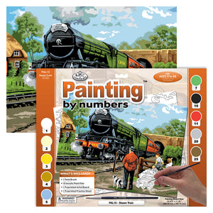 Paint By Numbers Adult Large - Steam Train