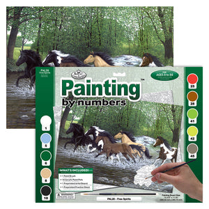 Paint By Numbers Adult Large - Free Spirits