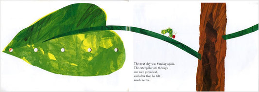 The Very Hungry Caterpillar Book