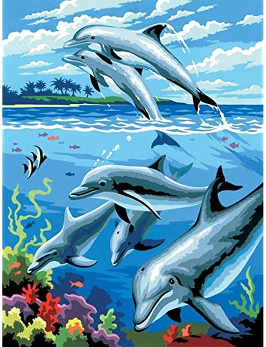 Paint By Numbers Junior Small - Dolphins