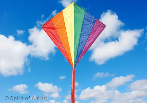 Sport Kite - Diamond Stunter