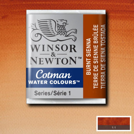 Cotman Watercolour Burnt Sienna Half Pan