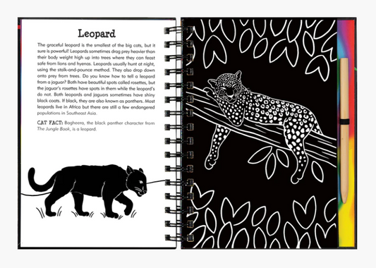 Wild Cats Scratch and Sketch