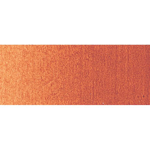 60ml Burnt Sienna - Professional Acrylic