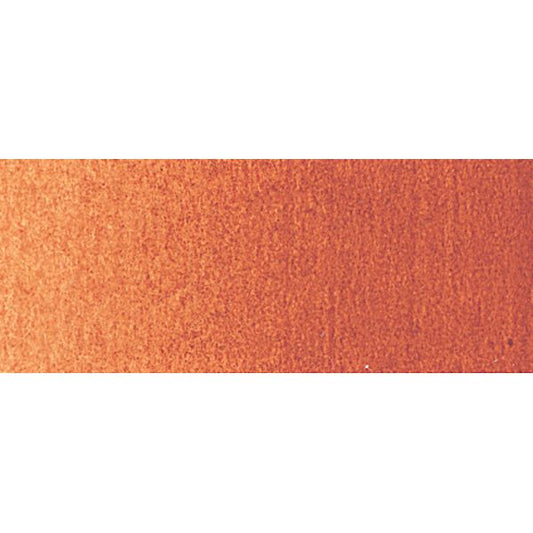 60ml Burnt Sienna - Professional Acrylic