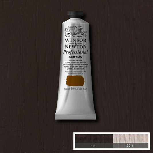 60ml Burnt Umber - Professional Acrylic