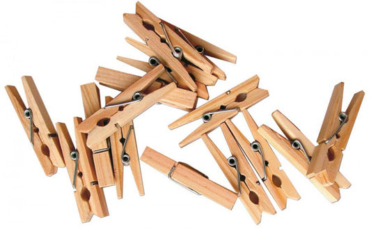 Clothes pegs 100pcs 25mm