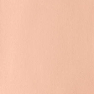 14ml Pale Rose Blush - Designers Gouache