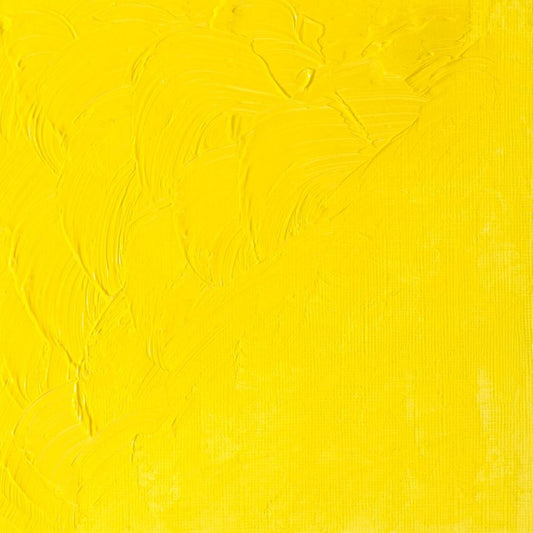 Winton Oil Colour Cadmium Lemon Hue 200ml