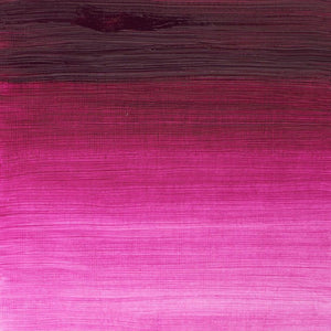 Winton Oil Colour Magenta 200ml