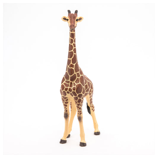 Papo Wild Animal Kingdom Giraffe Male Figure