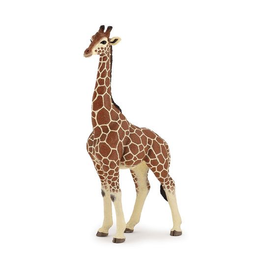 Papo Wild Animal Kingdom Giraffe Male Figure