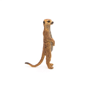 Standing Meerkat