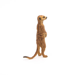 Standing Meerkat